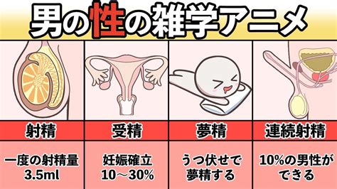 男 イク感覚|射精のしくみ～精液を放出する驚異のメカニズム 